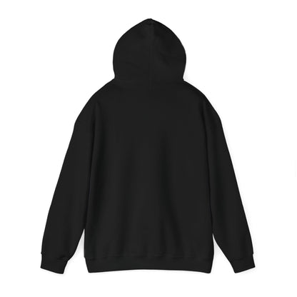 Coded Street Unisex Heavy Blend™ Hooded Sweatshirt