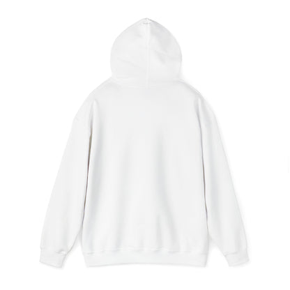 Coded Street Unisex Heavy Blend™ Hooded Sweatshirt